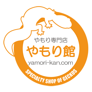 名古屋市西区　やもり専門店　やもり館